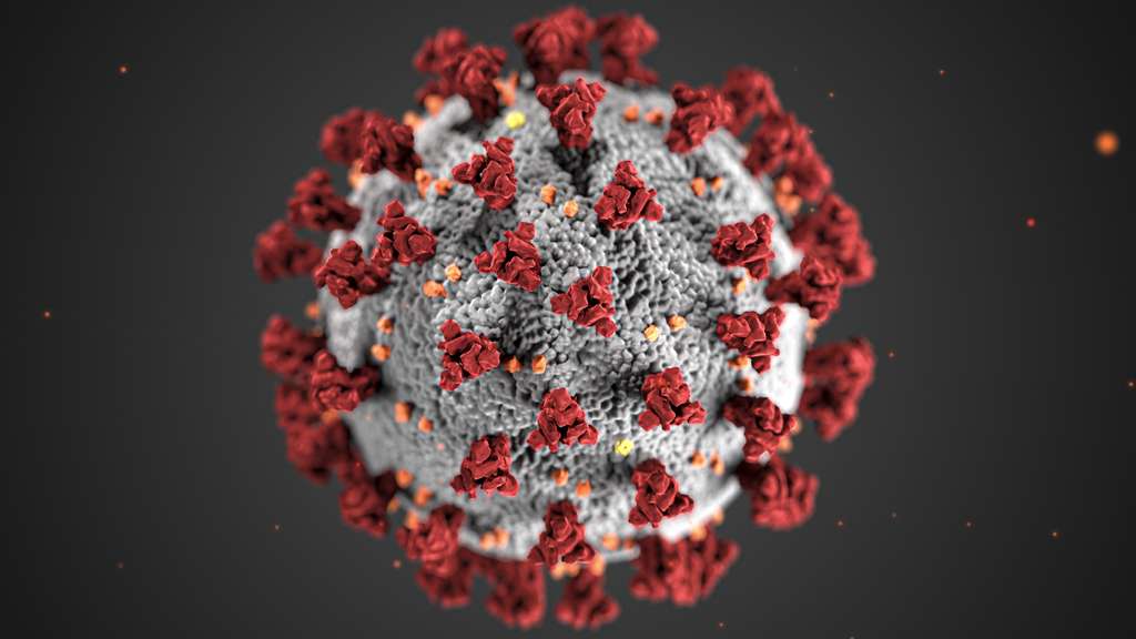 covid-19-coronavirus-covid-cell-pandemic-corona-virus-1608796-pxhere.com (2)